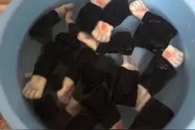 这猫很奇怪，主人每次洗椅子套后，它都会安静好几天图片