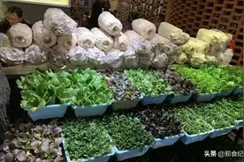 郑州一家独特的养生火锅，人均不到五十块，青菜都是随吃随摘？图片