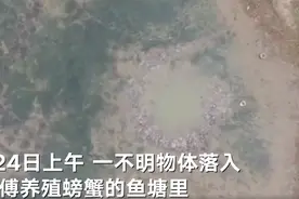 嘉兴一不明物体坠鱼塘砸出深坑 民警：正在挖掘打捞图片