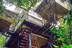 广东版宫崎峻同款森林秘境！两天一夜像住在童话世界里一样图片