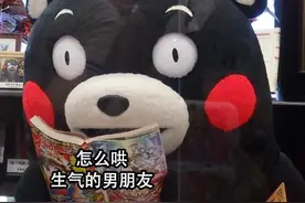 熊本熊看书表情包合集|如何哄生气的男朋友图片