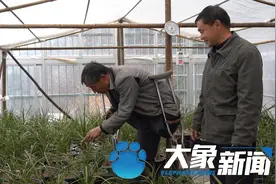 62岁的独腿老杨，在牛年有个特别的愿望图片