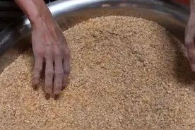 “打窝要用大盆打”，解析重窝钓鱼的意义，别轻易模仿也别嘲笑图片