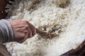 深度解析胚芽米，到底是不是智商税？宝宝谷物应该怎么选怎么搭？图片
