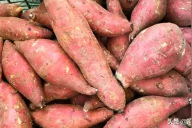 “储存红薯”的最佳方法是什么？教你几招，越放越甜，一冬都不坏图片