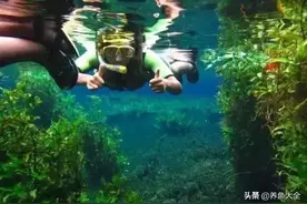 生态缸不过瘾，造个湖爽一下！图片