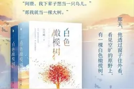 高争议的意难平，疑似融梗的小说图片