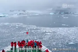 2岁去北极8岁环游世界，孩子爸说：学区房不是必需品，冒险才是图片