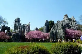 怎样选择合适的旅行团参加？以及了解签定旅游合同的重要性。图片