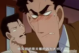 在横沟警官认为的众多“毛利夫人”们中，唯独没有妃英理图片