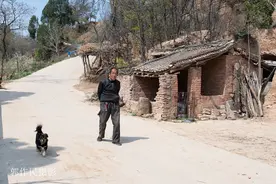 五亩地，两头牛，形影不离一只狗图片