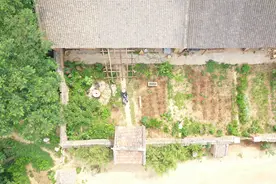 不恋爱不工作，他躲进山里住了7年：孤独让我觉得自己清澈图片