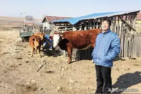 产业振兴 帮扶给力——专访国家发改委挂职干部常健图片