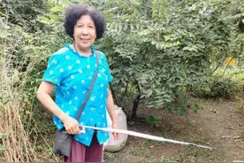 保定一古稀老人10多年如一日在小区义务捡垃圾图片