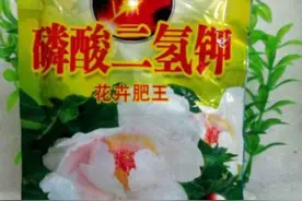 养花还用磷酸二氢钾？2样废料家家有，就是磷钾肥图片