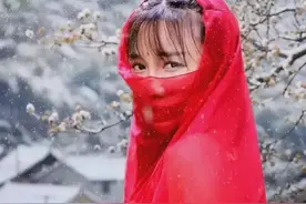 李子柒爆红后，网友热议：既然当网红能成功，为何还要努力高考？图片