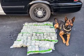 美国加州公路上演警匪追击片，嫌犯扔下百万美元，警犬发现新线索图片
