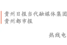 3人驱散马蜂取走蜂窝，8旬老人下地干农活被马蜂围攻死亡图片