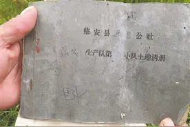 风禾尽起叶扶苏图片