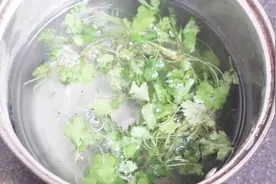 香菜煮水后洗脸，一段时间后，皮肤就会有惊喜变化，快试试视频封面