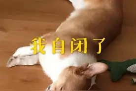 【微普法】出生后亲生父母把我送给他人，现在又要与我相认，我有义务赡养他们吗？图片