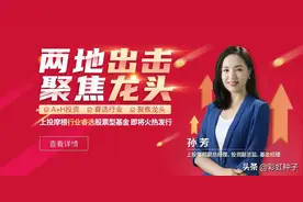 NO.513｜上投摩根孙芳-上投摩根行业睿选，值不值得买？图片