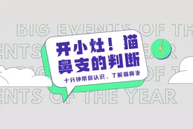 开小灶！猫咪出现什么症状是猫鼻支？图片