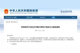 财政部成立乡村振兴领导小组图片
