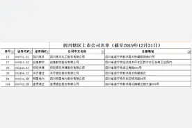 从天齐锂业和沱牌舍得看遂宁资本江湖的荣光与没落‖深度图片