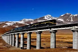 青藏铁路为何不用国产火车头，而要引进美国的，还是技术问题吗？图片