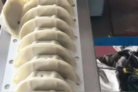 小小日式煎饺机，小机器可金贵着呢图片