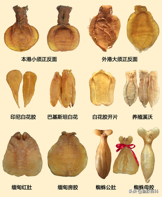 石斑鱼鱼胶 2026年石斑鱼鱼胶多少钱一斤