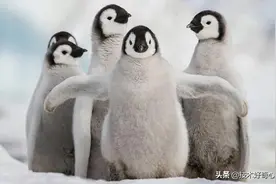 Linux CentOS安装ICU库图片