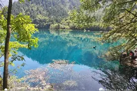 老大的文言文，《川西山水记（其一）》图片