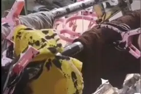 熊孩子高空泼墨，楼下住户全遭殃！父母教科书式善后获赞无数图片