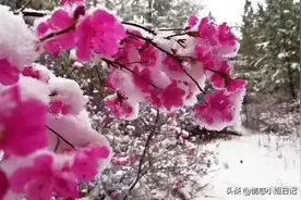 一个癌症晚期妈妈写给儿子的信：爱有多普通，就有多伟大图片