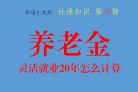灵活就业人员缴纳20年，养老金877是如何计算出来的？图片
