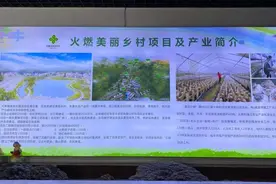 “蝶变”乡村变身远近闻名的“蘑菇小镇”图片