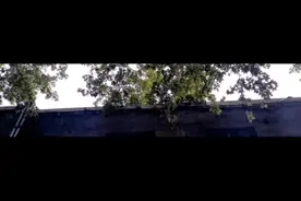 在临汾属于你的520鲜花，在这里图片