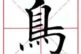 每日一字45：鸟图片