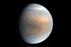 大乌龙！人类最接近发现金星生命的证据，如今几乎被彻底推翻图片