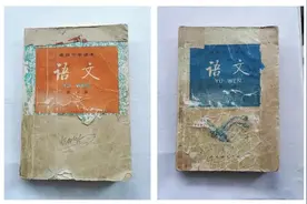 我的两本语文教科书，珍藏至今，珍爱如命 | 刘企华图片