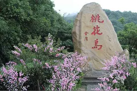 《九阴真经3D》新版本，全新剧情全新势力桃花岛现身江湖图片
