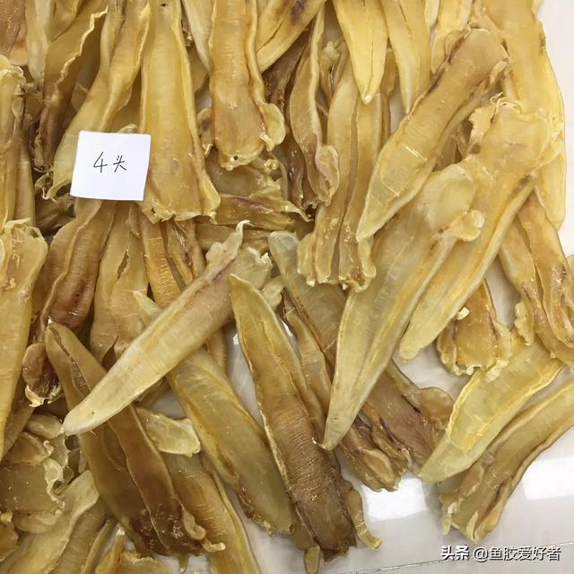 黄花皎北海花胶 2026年北海黄花胶的功效与作用