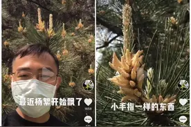开直播、爱得瑟，"植物人"顾有容通过短视频"破圈"图片