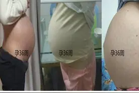 为啥有的孕妈挺着“西瓜”，有的却像怀了“假”孕？看完就明白了图片