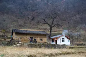 同一条秦岭山沟，冬天萧条颓败，四年前夏天的模样却宛如人间仙境图片