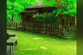 真心 忏悔文图片
