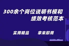 公司全套岗位说明书模版和绩效考核范本.doc图片