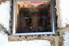 到77岁老太太家鉴宝，发现家具都是古董，专家：全部上交图片